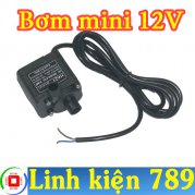 Máy bơm mini 12V JT-180